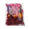 Assorted dried flowers material pack for DIY crafts and decor in a transparent plastic bag - Fixed Style (22#) / 17.5g Pack / Rose Red