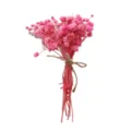 Small bouquet of dried pink baby's breath flowers tied with twine for DIY crafts. - Gypsophila Bundle (29#) / 1 Piece/Pack / Light Pink