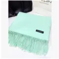 Soft mint green thin solid color scarf with decorative tassels, elegant spring accessory - Fruit Green