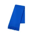 Macro view of Klein blue knitted scarf featuring classic decorative tassel trim. - 155X18+4CM / Sapphire Blue