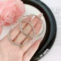 Fashionable large textured silver hoop earrings held by hand with rose background - Pave Hoop Style (E0270) / 5cm / Silver
