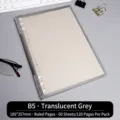 B5 Frosted Transparent Gray Loose-leaf Notebook with 60 Lined Sheets and 120 Pages - Transparent Gray / B5/60 Sheets