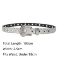 Close-up of a silver glitter rhinestone belt showing detailed 2.5cm width and 103cm length - 103cm / Silver