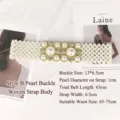 Elegant white pearl waist belt with luxury rhinestone buckle for women's dresses. - Weaving Style B Pearl Buckle