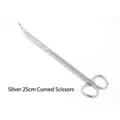 Silver 25cm curved scissors for aquarium plant trimming and landscaping - 25cm Curved Scissors / Silver