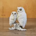 Vintage white resin owl figurines home decor ornament dimensions 9x7.5x4.5cm detailed - Owl Style C / White