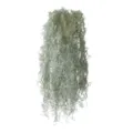Detailed view of artificial silvery-green air plant vine with soft texture - Dark Green