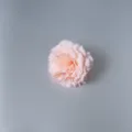 Gedetailleerde macro-opname van een lichtroze zijden anjerbloemkop voor decoratie. - Vleesroze