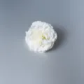 Detailopname van een witte kunstmatige anjerbloemkop voor florale DIY decoraties. - Wit