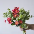 Realistic artificial red daisy bouquet with green eucalyptus for home and wedding decor. - Red