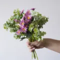 Realistic artificial purple daisy bouquet with green eucalyptus leaves held by hand - Rose Red