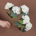 Vista dettagliata di una mano che tiene un bouquet di cinque ortensie artificiali - Bianco