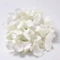White artificial hydrangea flower head detail close up for wedding decoration and floral design. - White