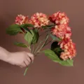 Detail van een boeket van vijf kunstmatige hortensiabloemkoppen vastgehouden in de hand - Oranje