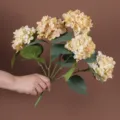 Detailweergave van hand die een boeket van vijf kunstmatige hortensia's vasthoudt - Champagne