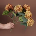 Close-up van een vijfkops kunsthortensiaboeket in een warme vintage bruine kleur - Bruin