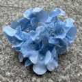 Blue artificial hydrangea flower head for wedding decoration and floral arrangements. - Light Blue