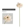 Single branch peach artificial African daisy silk flower for modern minimalist home decor - Champagne