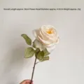 Elegant cream artificial rose with burnt edges, 50cm decorative silk flower for home - Single Unit / White
