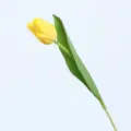 Single artificial yellow tulip with lifelike texture and green leaf on plain background. - Yellow