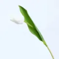 Elegant single white artificial moisturizing tulip flower with realistic green leaf - White