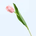Premium hand-feel moisturizing artificial tulip flower in soft pink color for home decor - Pink