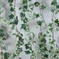 Macro view of variegated artificial ivy leaves with white edges on white wood - White Green
