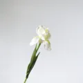 Artificial white iris flower PU touch fake floral decoration for home room table decoration - White