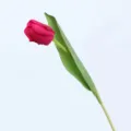 Vibrant magenta faux tulip stem with green leaf for elegant home decoration. - Rose Red