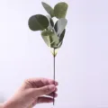 Close-up of a hand holding a single artificial eucalyptus stem with realistic green leaves - Without Berries