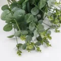 Detalle de hojas de eucalipto artificiales verdes para arreglos florali decorativos. - Verde