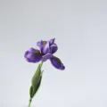 Artificial PU Iris flower single stem purple decorative faux plant for home decor - Purple