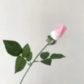 Single stem moisturizing pink artificial rose flower for bridal bouquet and wedding decoration - White Pink