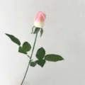 Artificial pink and white rose bud stem with realistic green leaves for decoration - Pink White