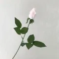 Single pale pink artificial moisturizing rose for wedding photography decoration - Light Pink