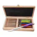 Premium set of 6 colorful Laguiole style steak knives with a wooden storage gift box - Set Of Six With Wooden Box / Six Colors