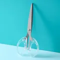 Minimalistische Edelstahlschere mit speziellen transparenten Griffen für Bastelarbeiten - L