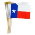 Packung kleiner Texas-Staatsflaggen mit Holzstäben und goldenen Spitzen für die Dekoration - Texas Handheld Flag (Wooden Pole) / 14x21CM
