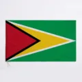 Große 90x150cm Guyana Nationalflagge aus strapazierfähigem Polyester für außen - Guyana