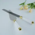 Elegant wedding cake server and knife set with crystal filled handles and gold accents - Two-Piece Set / Gold