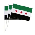 Drei handgehaltene syrische Unabhängigkeitsflaggen mit weißen Plastikstäben für Feiern - Syrische Unabhängigkeit Handflagge / 20x28cm