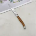 Detailed view of a Laguiole stainless steel steak knife with serrated blade and wooden handle - 1 Piece / Wood Grain