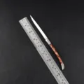 Folding pocket fruit knife, utility knife for outdoor camping, sharp blade with wood handle. - Resin Handle / 195mm