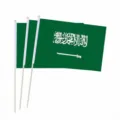 Kleine handgehaltene Nationalflaggen von Saudi-Arabien aus strapazierfähigem Polyester - 30*45 Handflagge