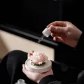 Eleganter handgefertigter Keramik-Pfingstrosen-Diffusorstein für die Aromatherapie - Pfingstrose Keramik Diffusor Stein Set