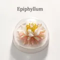 Exquisites handgefertigtes Keramik-Blumenornament in einer klaren Glaskuppel geschützt - Mondblume / Einzelne Blume