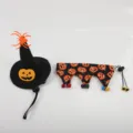 Halloween pet costume set including a black pumpkin wizard hat and a spider print collar - Pumpkin Hat And Pumpkin Bib Outfit / One Size