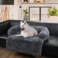 Tappetino protettivo per divano in peluche grigio per cani, morbido e lavabile - Stile Rettangolare / Taglia S (80x80x16cm) / Grigio scuro