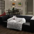 Coperta per divano letto in peluche per cani e gatti sui mobili - Stile Rettangolare / Taglia S (80x80x16cm) / Grigio scuro