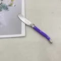 Purple handle stainless steel butter knife with classic design for western table tableware jam - Purple